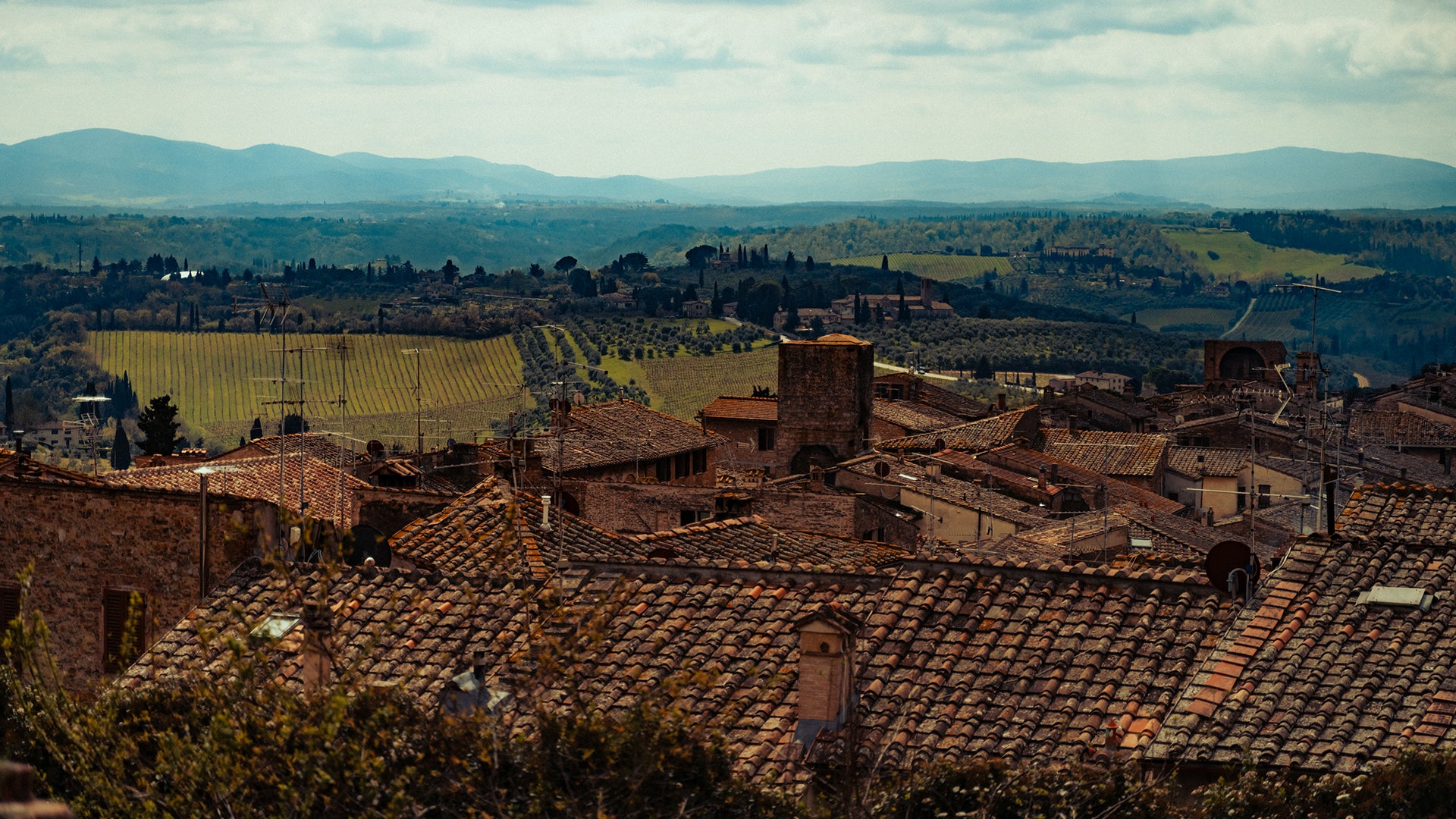 Tour Guide | Siena & San Gimignano