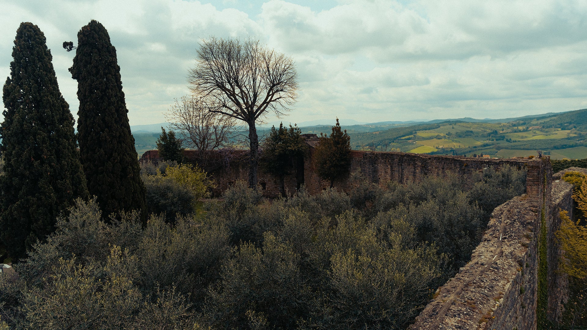 Tour Guide | Siena & San Gimignano