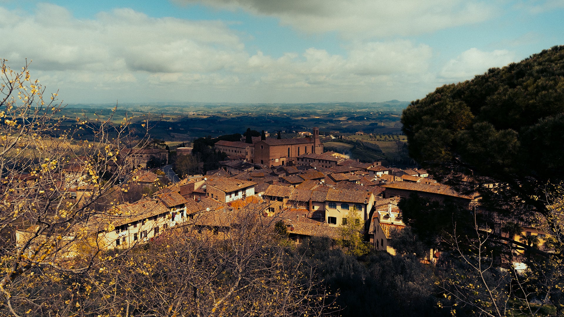 Tour Guide | Siena & San Gimignano