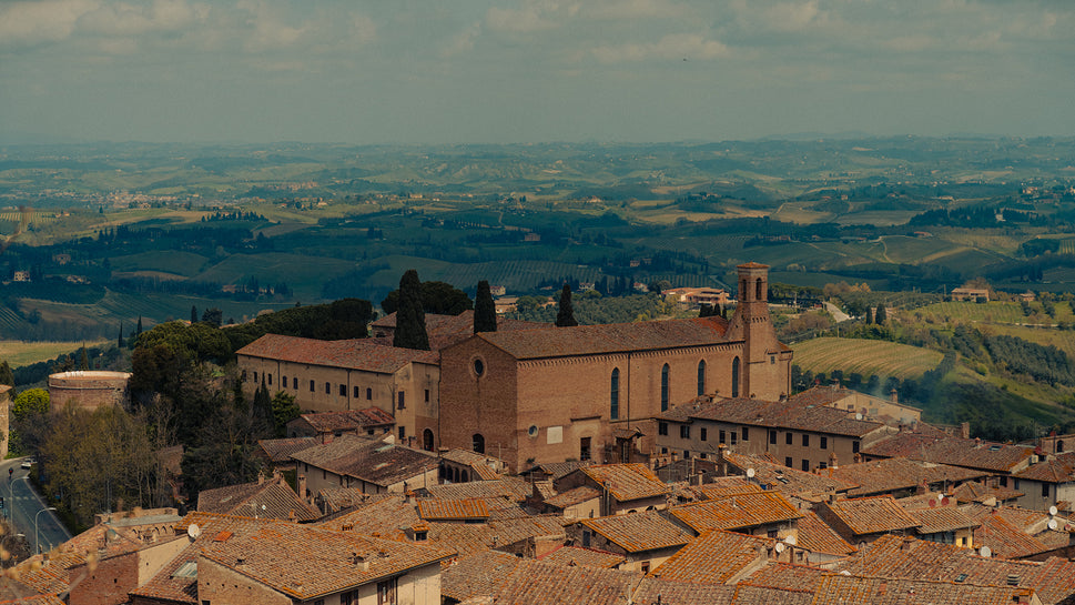 Tour Guide | Siena & San Gimignano