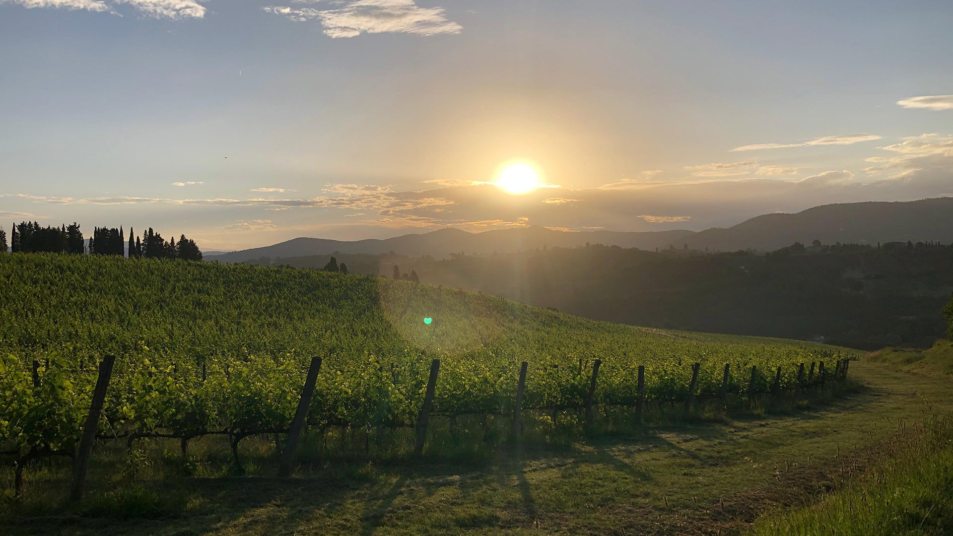 Podere Ema - Experiences