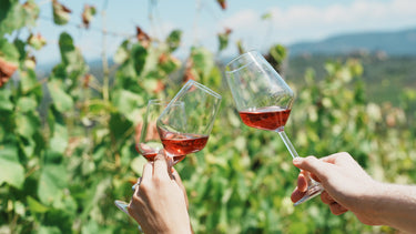 Gastronomy Tours