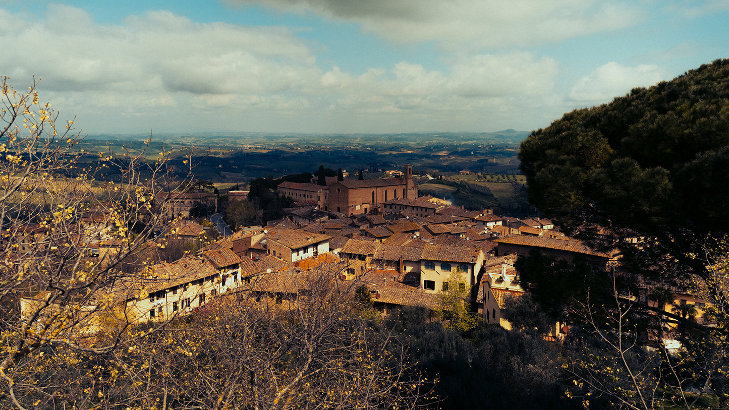 Tour Guide | Siena & San Gimignano